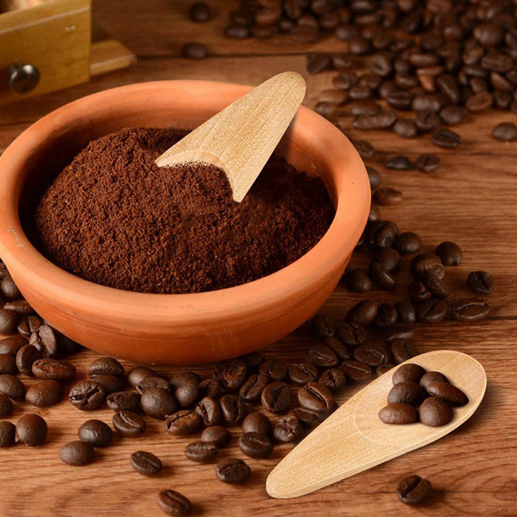 A04G - Lot de 10 mini-cuillère - Coffee Tea Etc avis et prix
