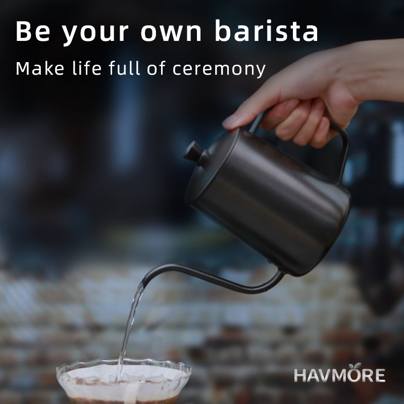 HAVMORE 304 bouilloire à thé e - Tea Coffee Utensils avis et prix